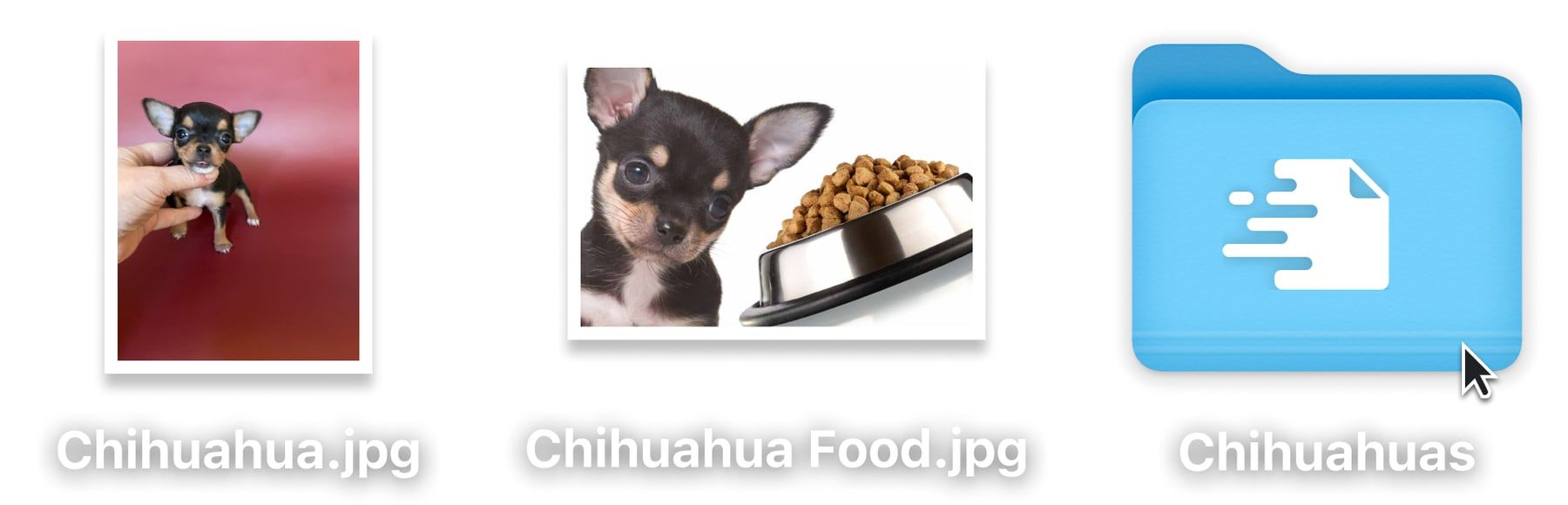 Fyle suggesting a new collection of related images grouped automatically from file metadata